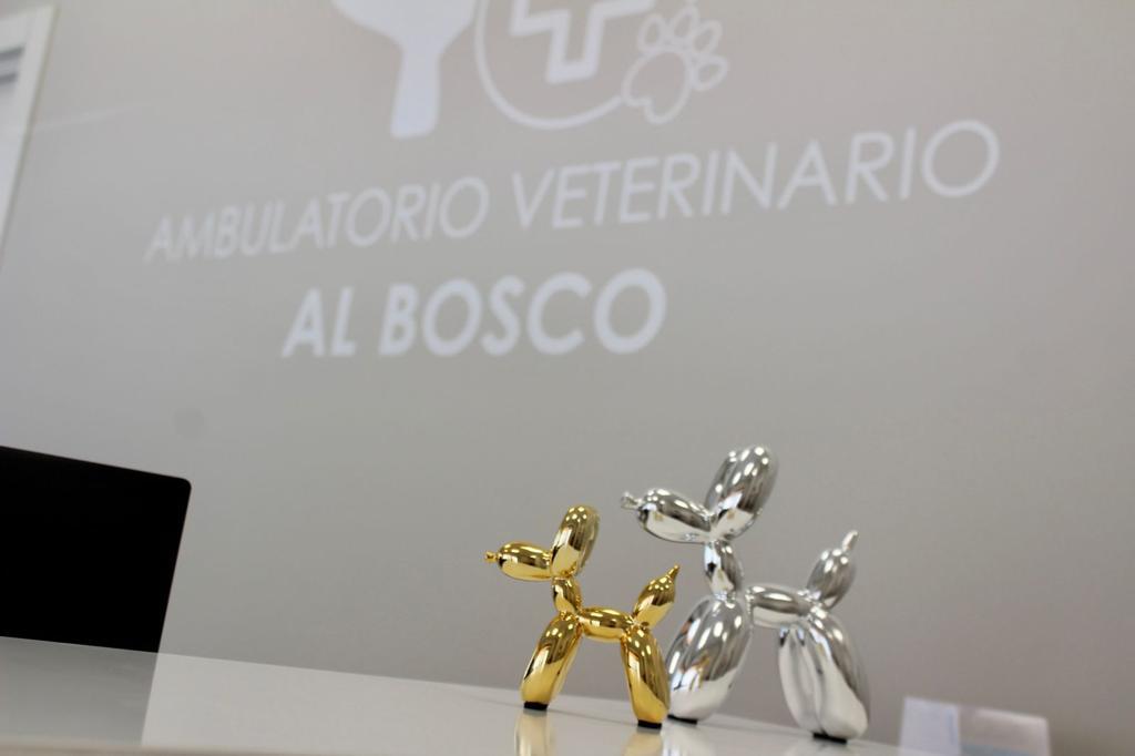 Silvana Bonelli - veterinario Cremona